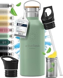 Descubre las mejores ofertas en termos y botellas de infusión para té asiático