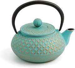 ¿Cuánto cuesta una tetera japonesa de hierro fundido?