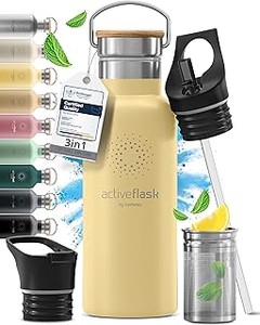 Conoce los Mejores Termos y Botellas de Infusión para Té Asiático