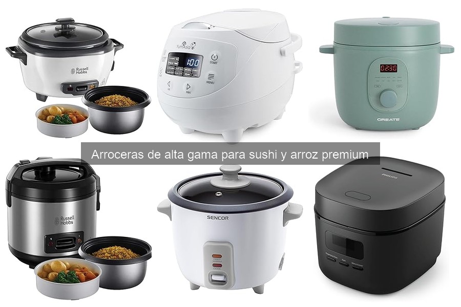 Alternativas a Arroceras Premium: Pros y Contras