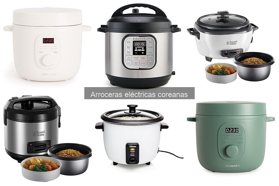 Alternativas a las Arroceras Eléctricas Coreanas