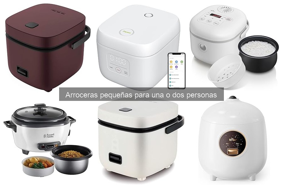 Características esenciales de una arrocera pequeña para solteros