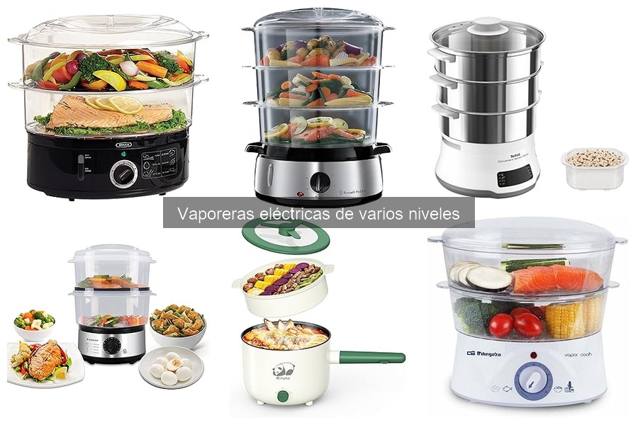 Comparativa de las Mejores Vaporeras Eléctricas de Varios Niveles