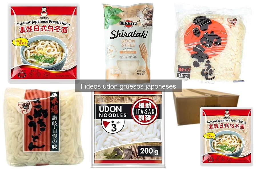 Errores comunes al cocinar fideos udon gruesos japoneses