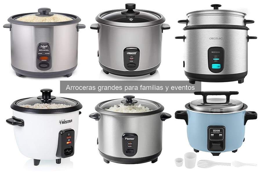 Mantenimiento y limpieza de arroceras grandes: consejos útiles