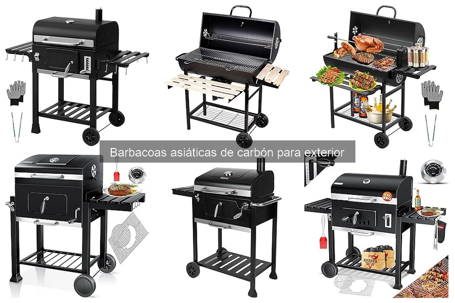 Mejores lugares para comprar barbacoas asiáticas de carbón