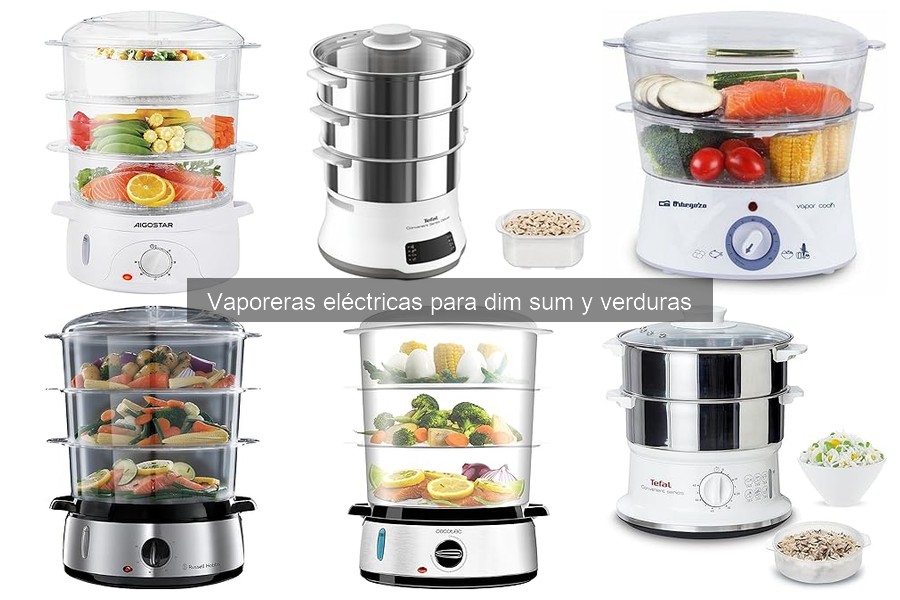 Mejores ofertas de vaporeras eléctricas: precios y comparativa