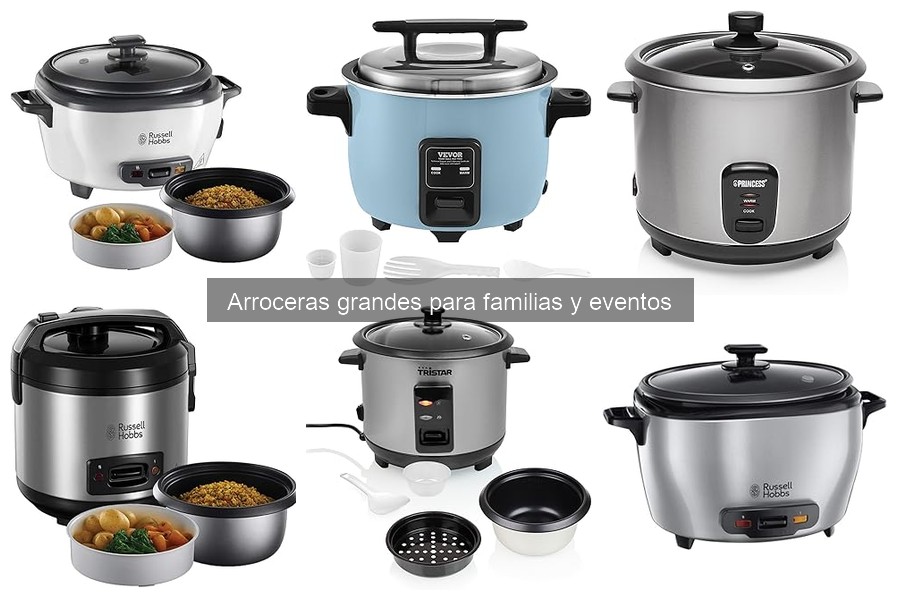 Mejores tiendas para comprar arroceras grandes al mejor precio