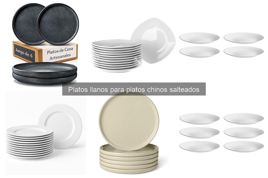 Platos Llanos Chinos Salteados: Características y Usos
