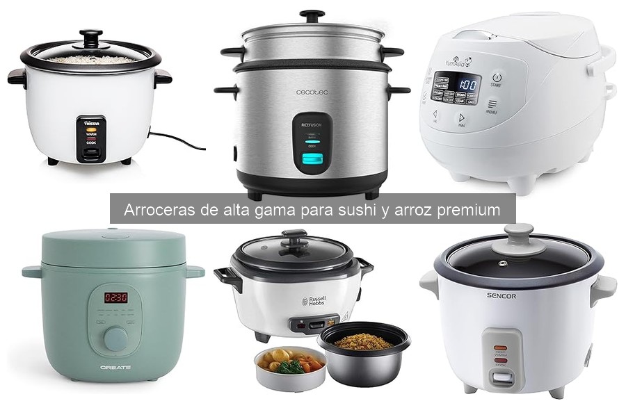 Precios de Arroceras de Alta Gama: ¿Cuánto Deberías Pagar?