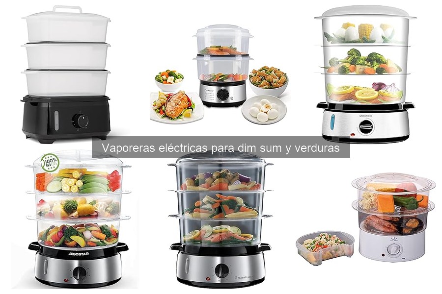 Problemas comunes al usar vaporeras eléctricas y soluciones