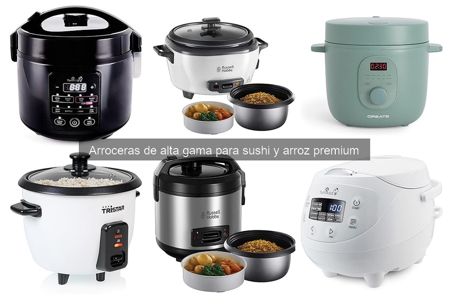 ¿Qué es una arrocera de alta gama? Características y beneficios
