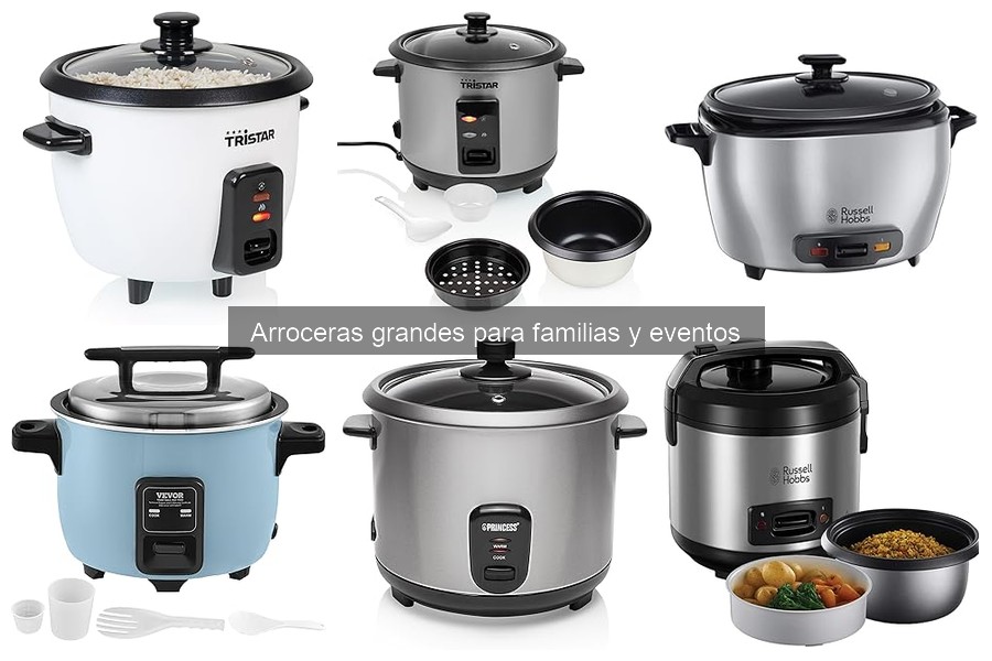 Recetas de arroces asiáticos para arroceras grandes