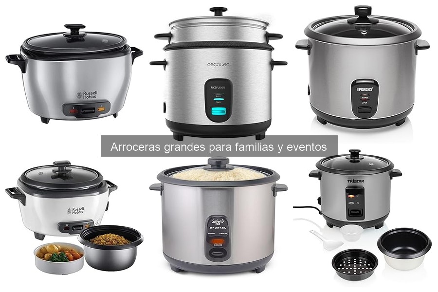 Recetas ideales para arroceras grandes en casa