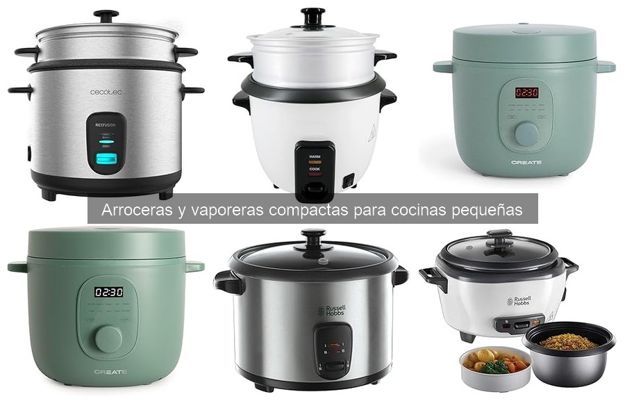 Recetas sencillas para preparar en arroceras y vaporeras
