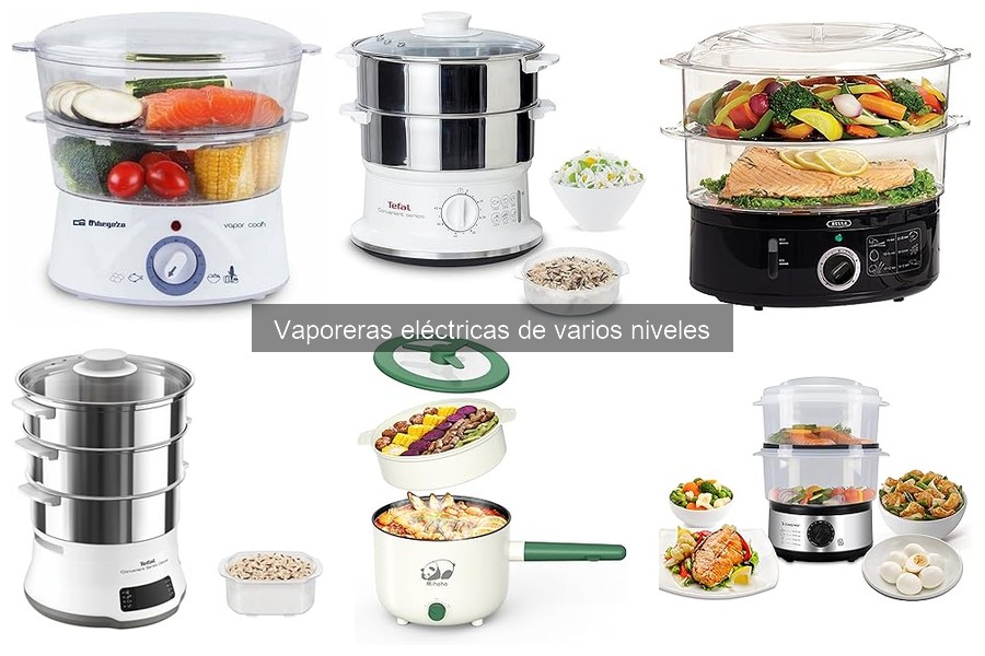 Soluciona Problemas Comunes con Vaporeras Eléctricas