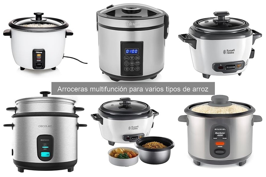 Tipos de arroceras multifunción: características y funciones