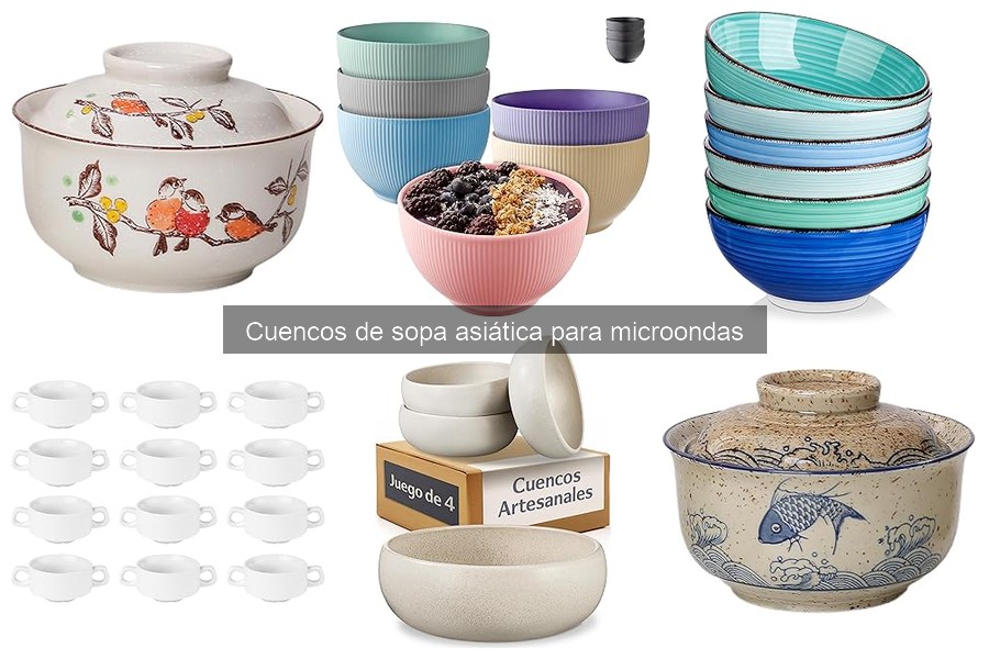 Tipos de cuencos de sopa asiática para microondas